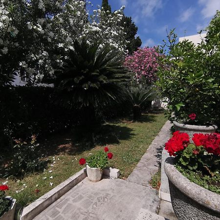 Apartments Maris Garden Petrovac Buitenkant foto