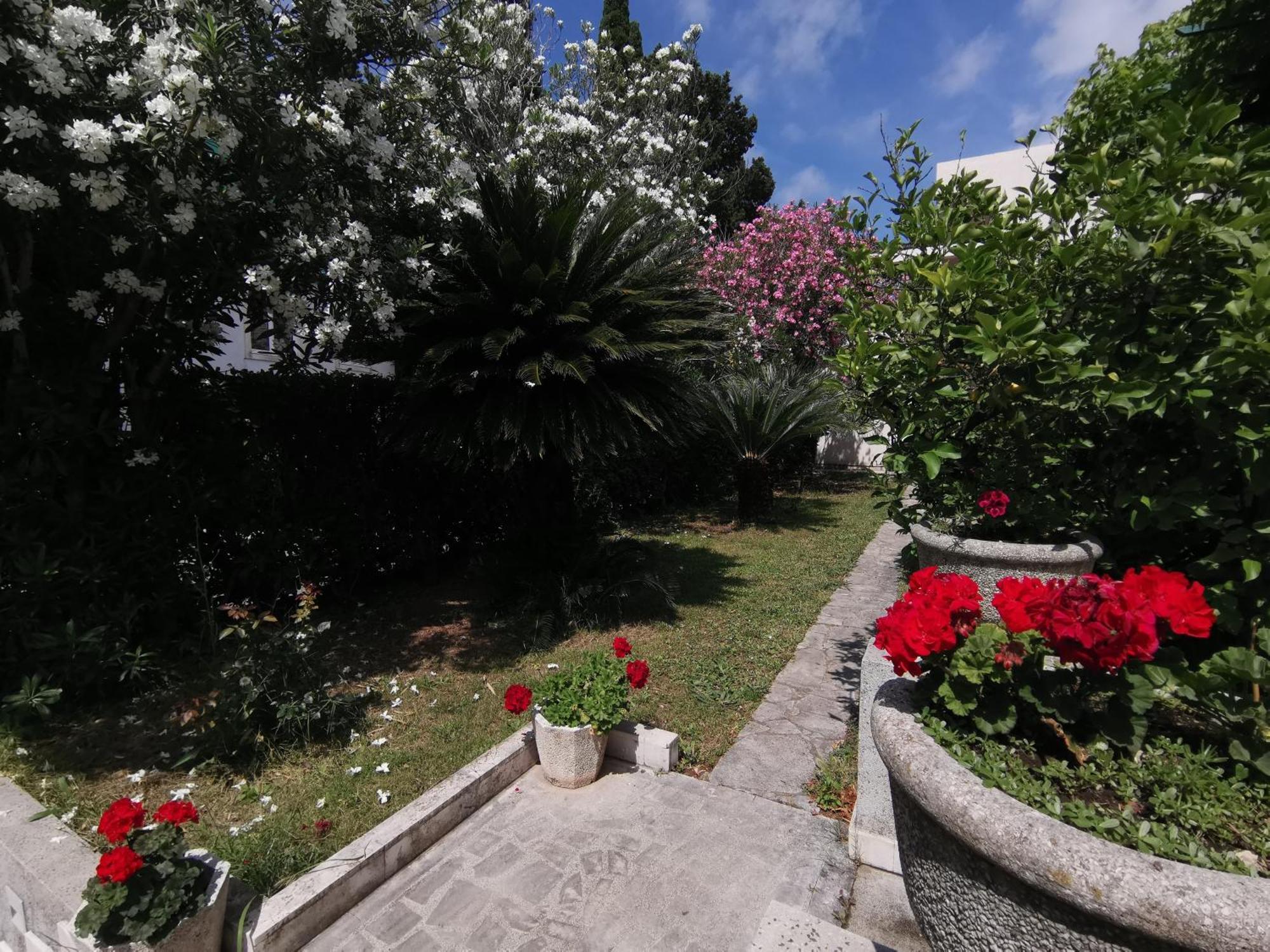 Apartments Maris Garden Petrovac Buitenkant foto