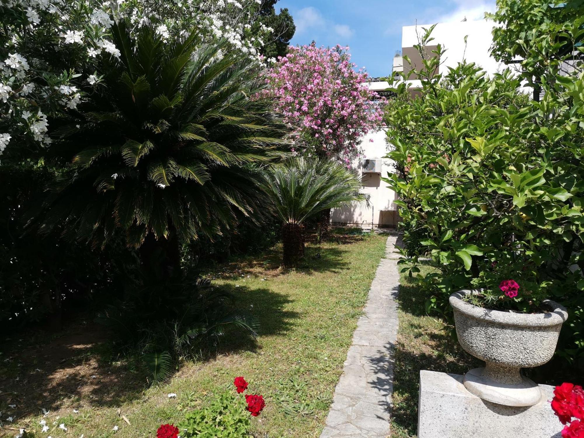 Apartments Maris Garden Petrovac Buitenkant foto