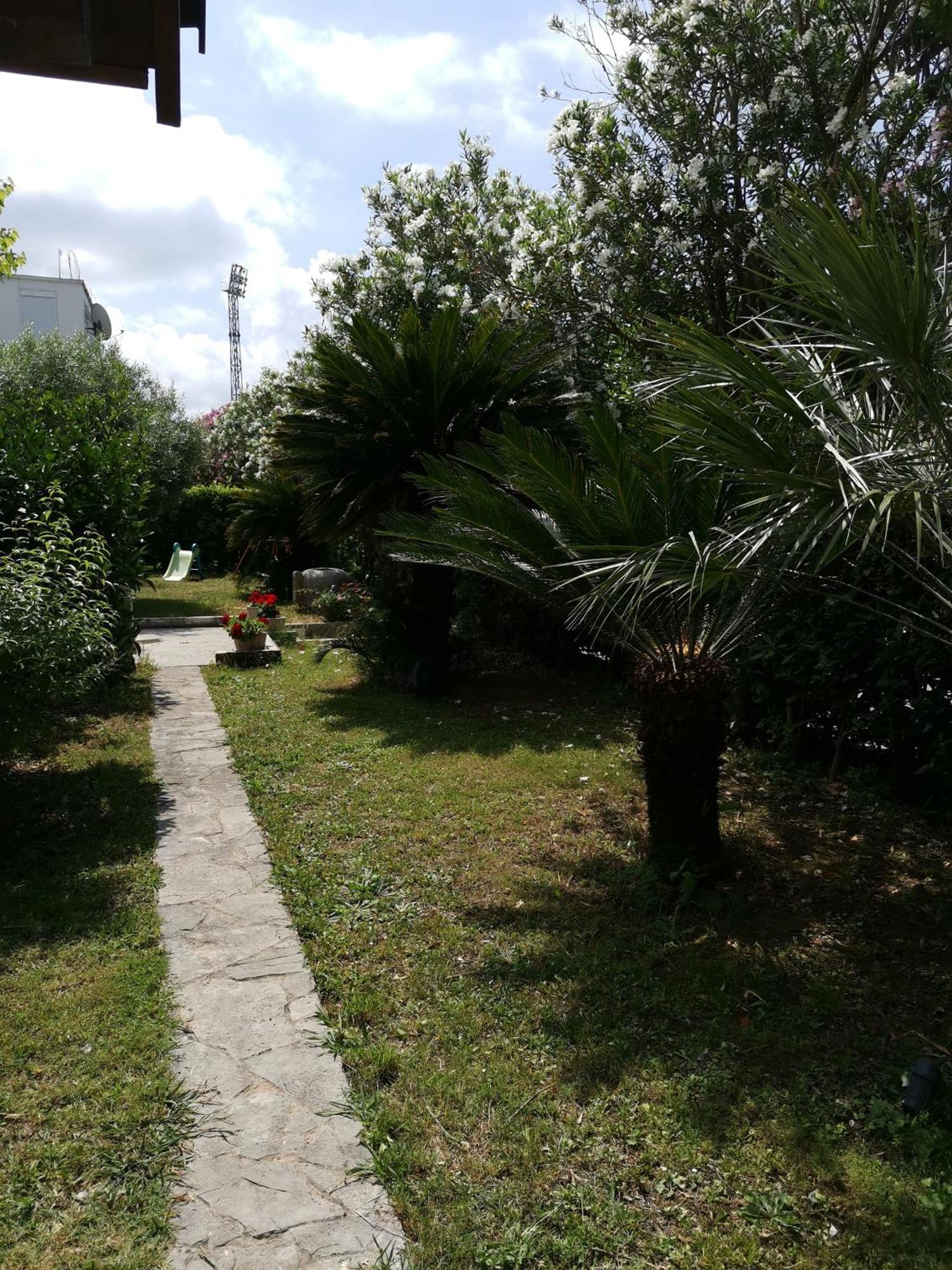 Apartments Maris Garden Petrovac Buitenkant foto