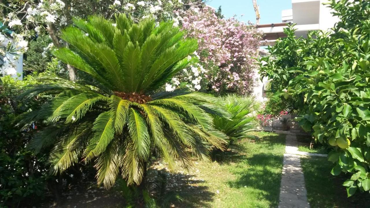 Apartments Maris Garden Petrovac Buitenkant foto